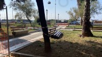 decoro-a-salerno-via-le-assi-rotte-arrivano-le-nuove-panchine-sul-lungomare