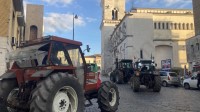 la-marcia-dei-trattori-nel-sannio-vogliono-distruggere-l-agricoltura