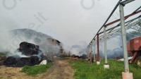 maxi-incendio-in-un-azienda-agricola-morti-60-agnelli-e-bovini