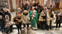 avellino-la-benedizione-degli-animali-duomo-in-festa