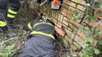 cagnolino-incastrato-in-un-rudere-salvato-dai-vigili-del-fuoco