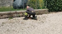 intrappolato-con-la-testa-in-un-barattolo-di-pomodori-salvato-un-gatto