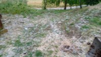 ecco-come-ha-ridotto-i-campi-la-violenta-grandinata