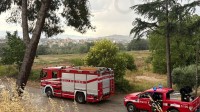 maltempo-nel-sannio-cade-un-fulmine-in-fiamme-15-ettari-di-grano