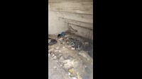 avellino-degrado-in-via-scotellaro-iacovacci-priorita-sicurezza