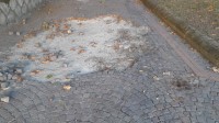 avellino-bagni-chiusi-e-degrado-vergogna-in-villa-comunale-ecco-perche