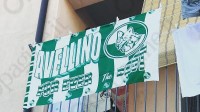 la-curva-sud-chiama-il-tifo-biancoverde-risponde-le-foto