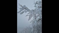 nevica-in-irpinia-fiocchi-bianchi-anche-ad-avellino