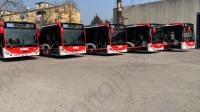 nuovi-autobus-per-il-trasporto-pubblico-locale-a-benevento