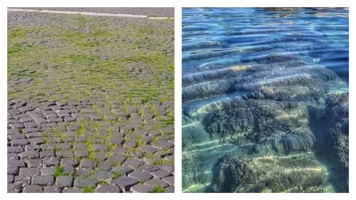 dal mare trasparente all erba di piazza plebiscito