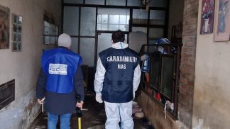 canile-lager-a-caserta-blitz-dei-nas-e-del-servizio-veterinario