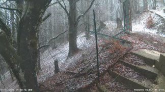 avellino-neve-in-arrivo-primi-fiocchi-bianchi-sul-partenio-ecco-cosa-accadra