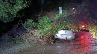auto-travolta-da-un-albero-due-persone-salvate-nel-cilento-dalla-polizia-locale