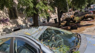 albero-crollato-a-salerno-distrutta-un-auto-ma-poteva-andare-molto-peggio