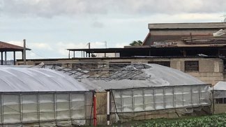 maltempo-nell-agro-coldiretti-agricoltura-in-ginocchio