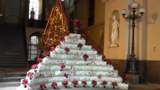 torna-l-albero-solidale-pacchi-alimentari-per-chi-ha-bisogno