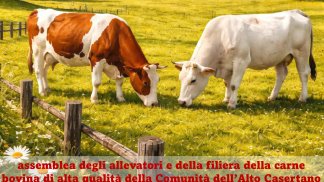 carni-di-eccellenza-alto-casertano-arriva-sistema-territoriale-valorizzazione