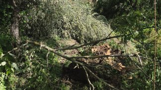 rullo-compattatore-fuori-strada-in-un-burrone-grave-un-35enne