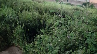 degrado-a-salerno-opposizione-all-attacco-sfiducia-a-natella