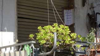 una-voce-mi-ha-detto-di-ammazzarlo-ma-non-ho-gettato-la-testa-in-strada