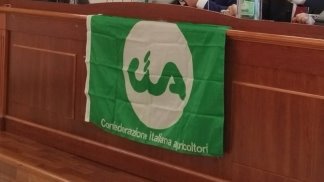 problematiche-vitivinicole-cia-agricoltori-avellino-chiede-un-tavolo-regionale