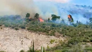 ancora-fiamme-in-provincia-di-salerno-vasto-incendio-a-sarno