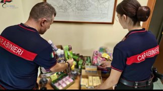 giocattoli-non-sicuri-blitz-dei-carabinieri-multe-e-sequestri-nell-avellinese