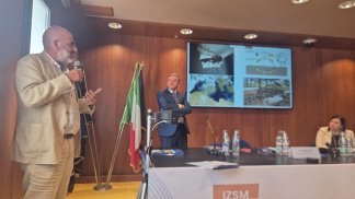 virus-shamonda-negli-allevamenti-salernitani-situazione-sotto-controllo