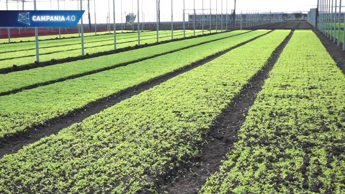 dal drone alla stazione meteorologica ecco l agricoltura 4 0