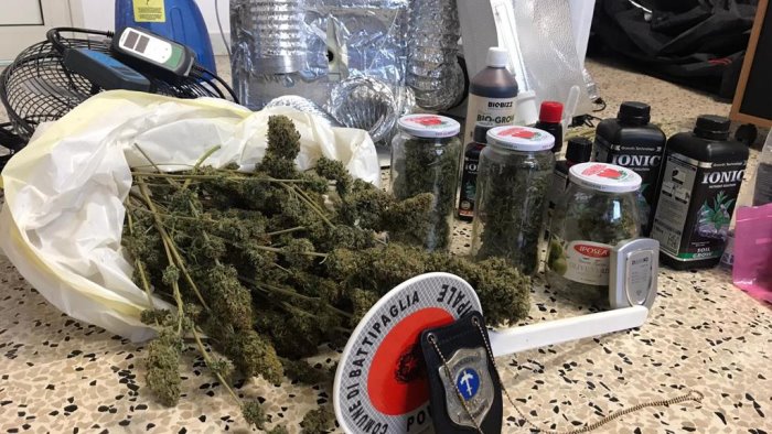 scoperta una serra domestica per la produzione di marijuana