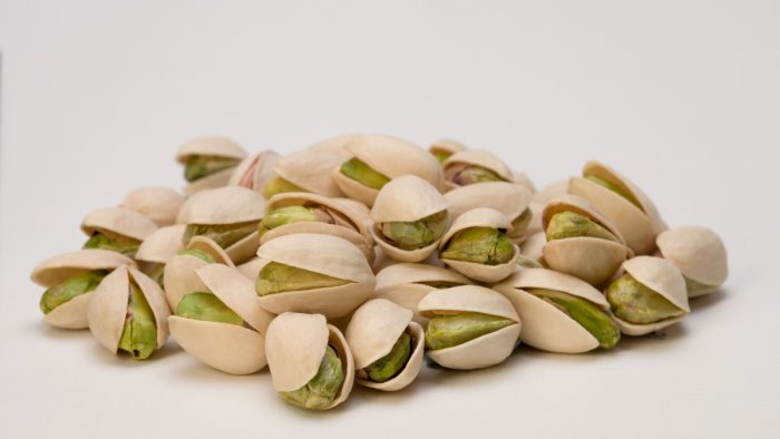 alimentazione i pistacchi aiutano il sistema immunitario