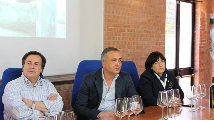 vini irpini docg svenduti di marzo serve piu responsabilita