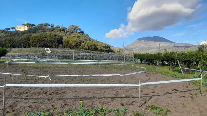 vesuvio ciclocross al via ci saranno 150 partecipanti