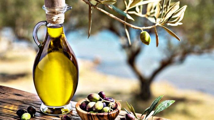 dieta mediterranea il parco del cilento aderisce a citta dell olio
