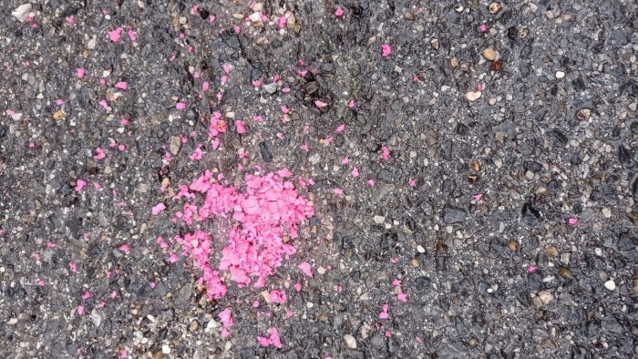 veleno per le strade del centro cittadino la denuncia arriva da agropoli