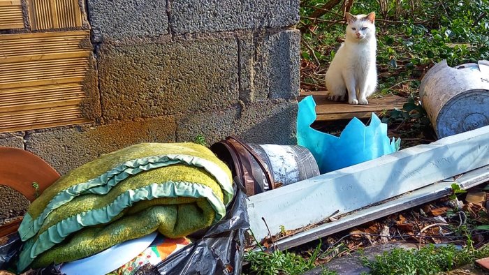 discariche e degrado in localita schito asa comune e asl intervengano