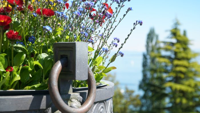ad avellino i giardini sottocosta una rotta blu per itinerari verdi