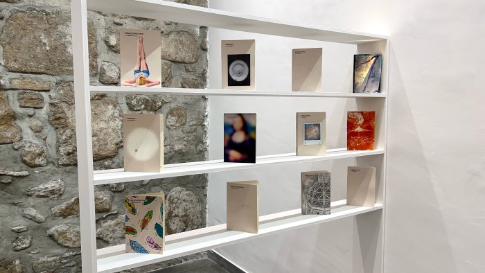 arti visive e letteratura da apis