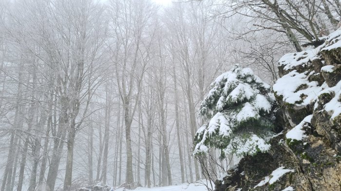 maltempo scatta l allerta neve in campania fiocchi bianchi fino a 500 metri