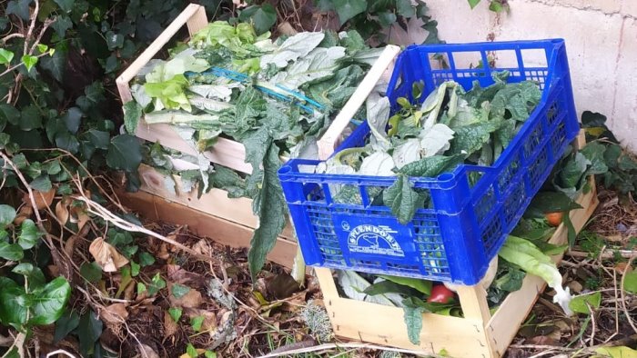 incivilta scarti di verdura lasciati in strada dopo il mercato