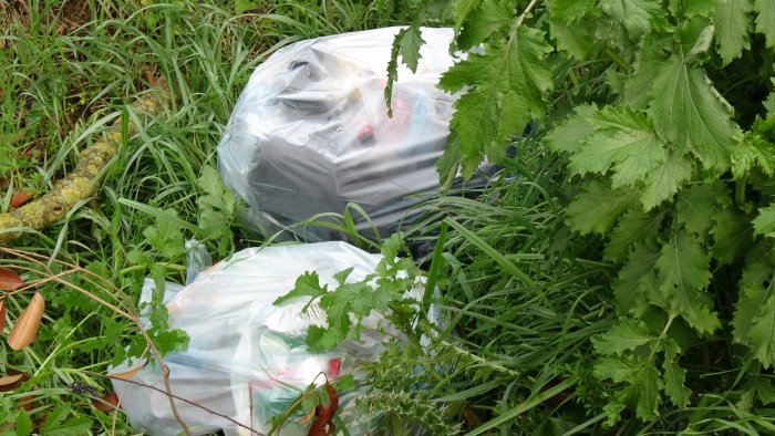 ariano sacchetti di rifiuti nell erba ed escrementi di cani sui marciapiedi