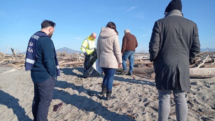 tartaruga trovata morta borrelli la plastica sta uccidendo ambiente e fauna