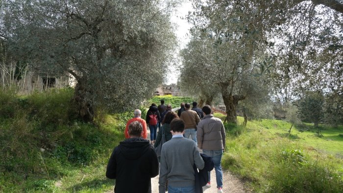 caserta decide al via la campagna di tesseramento 2024