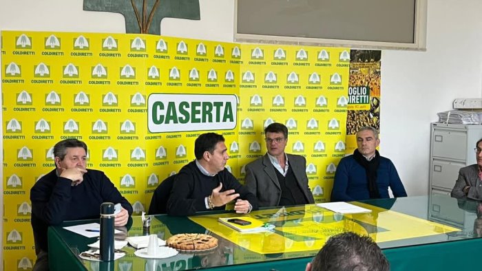 le regole su come gestire il pascolo in montagna la sfida di coldiretti