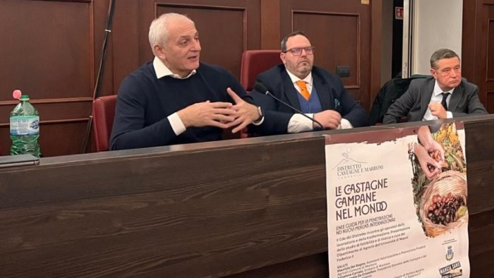 le castagne campane nel mondo linee guide per le sfide future