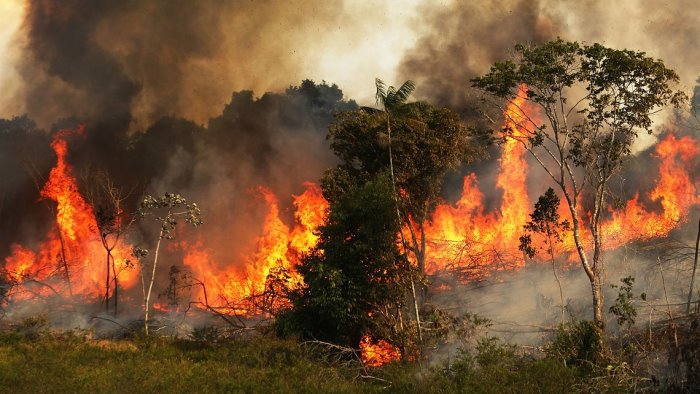 pastore incendiava boschi in area protetta arrestato
