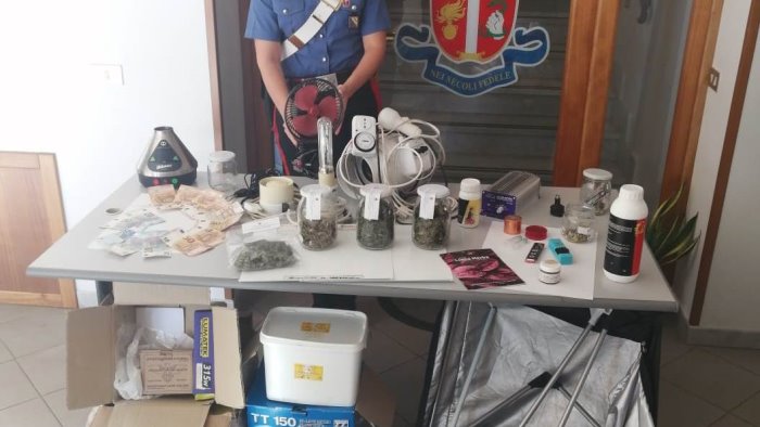 marijuana in auto e a casa arrestato 21enne di pesco sannita