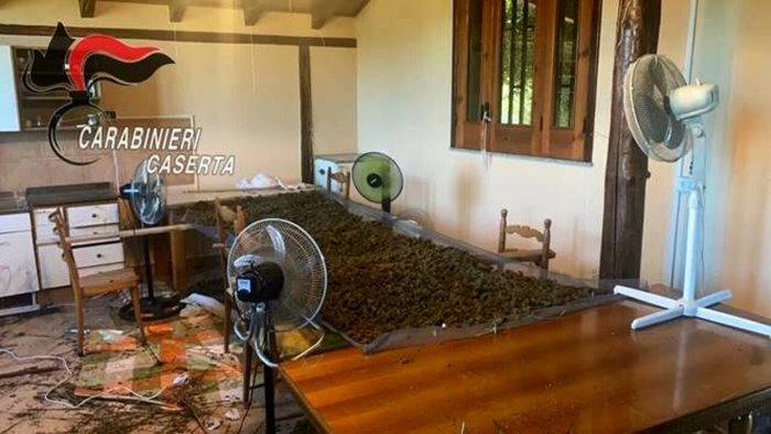 nuovo sequestro di droga nel casertano da parte dei carabinieri