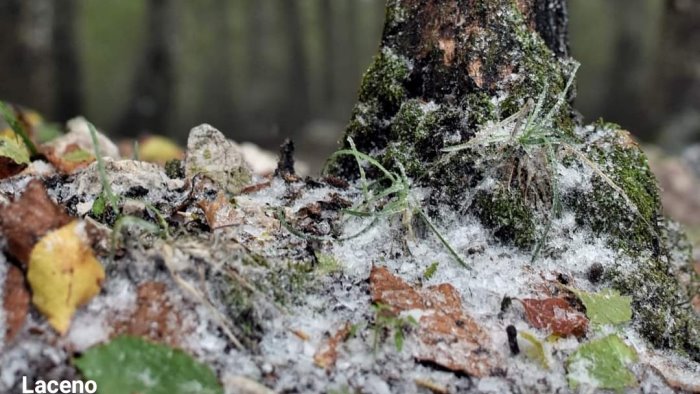 prima neve in irpinia fiocchi bianchi sul laceno incanto sul raiamagra