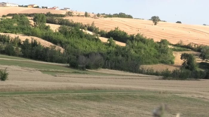 copagri donne rurali sono quasi la meta della forza agricola